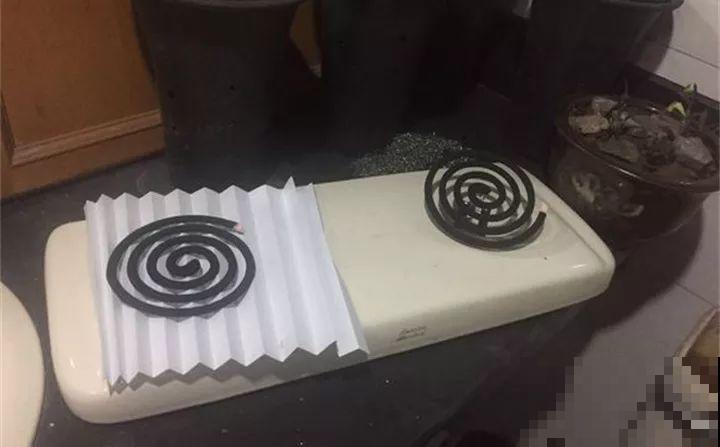 春天各种虫害来袭，花叶都要被吃没，教你新方法来杀虫！