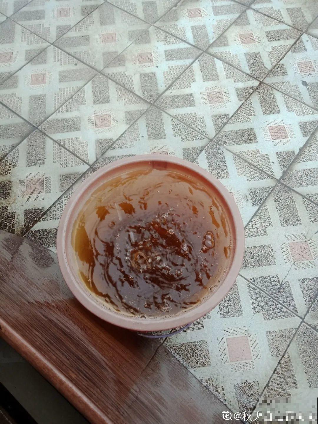 1粒小药片，碾碎丢水里，花像吃了兴奋剂疯长！