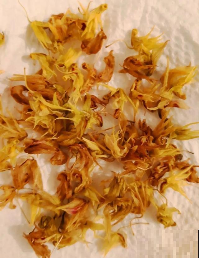玉兰花真好吃，掐一把炒鸡蛋，竟然满嘴鸡肉味