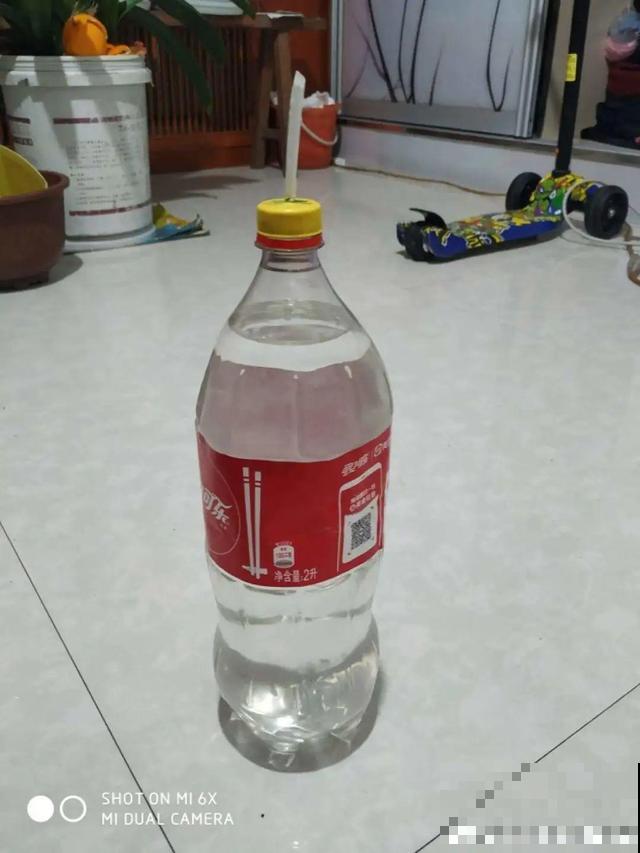 1个塑料瓶，居然有8种养花方法，省钱又好用！