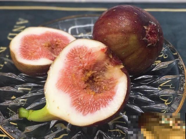 6种植物不按套路生长？你吃的水果，就是这么长出来的！