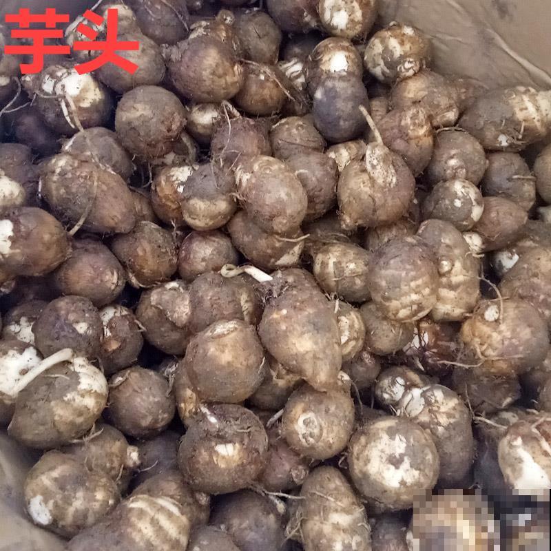 20种有毒花，看见绕道走，千万别去碰！