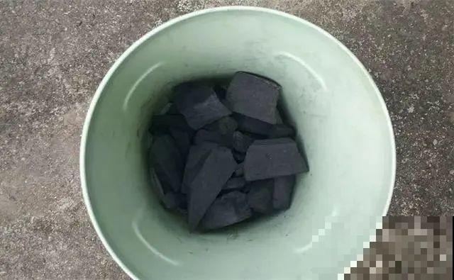 1把核桃垫盆底，不烂根、不招虫，疯长停不下来！