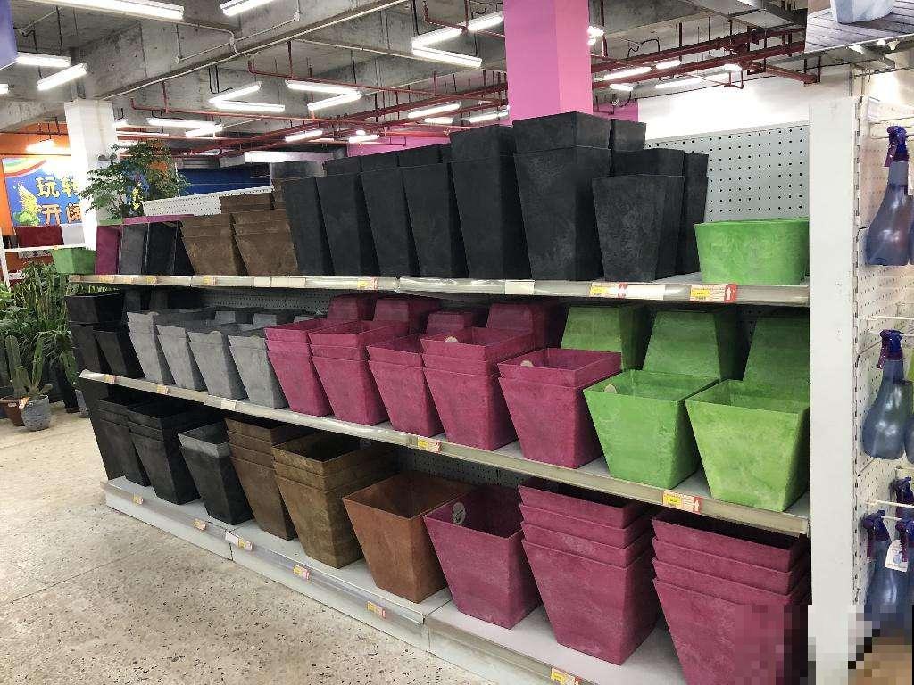 想要养好花，3个方面要注意，不然花都死翘翘