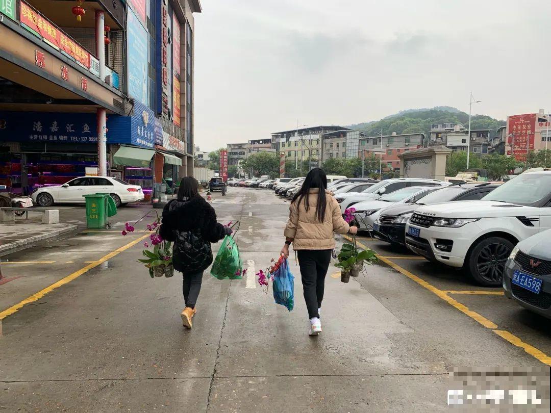 春天路边逛一遭，全是养花宝贝，赶紧捡回家