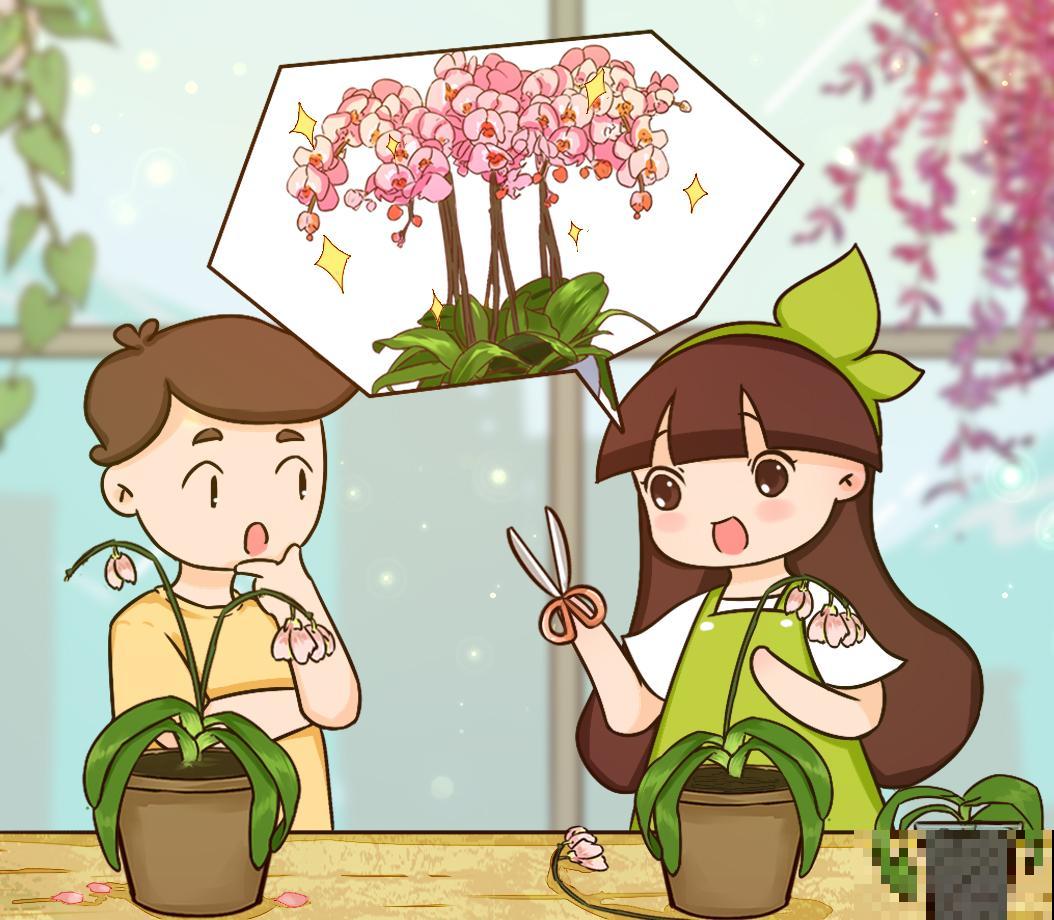 不懂花的人，开完就把花扔了，太可惜，剪一剪还能开！