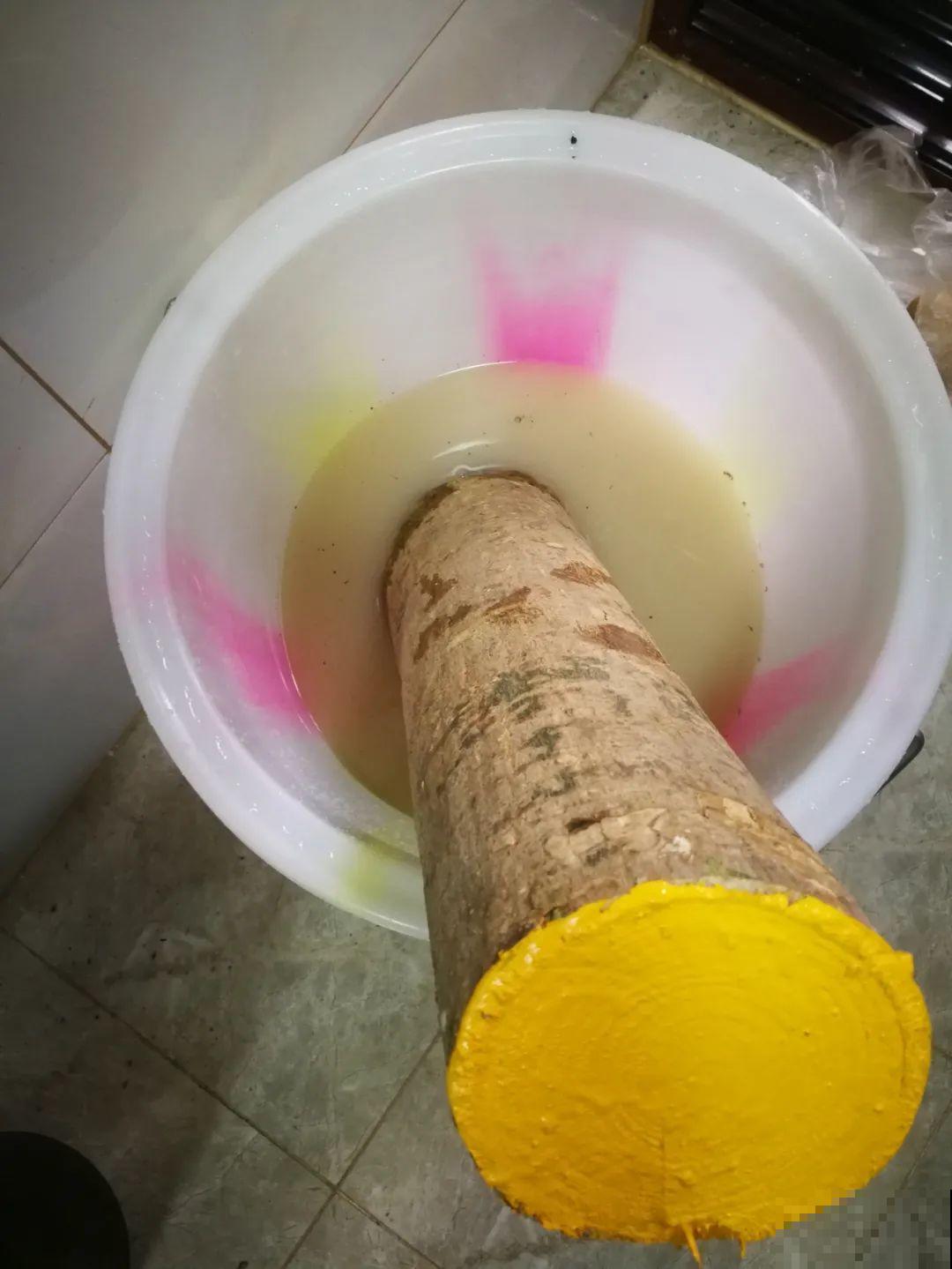 换盆的最佳时机到了，换完花儿就疯长，错过会后悔！