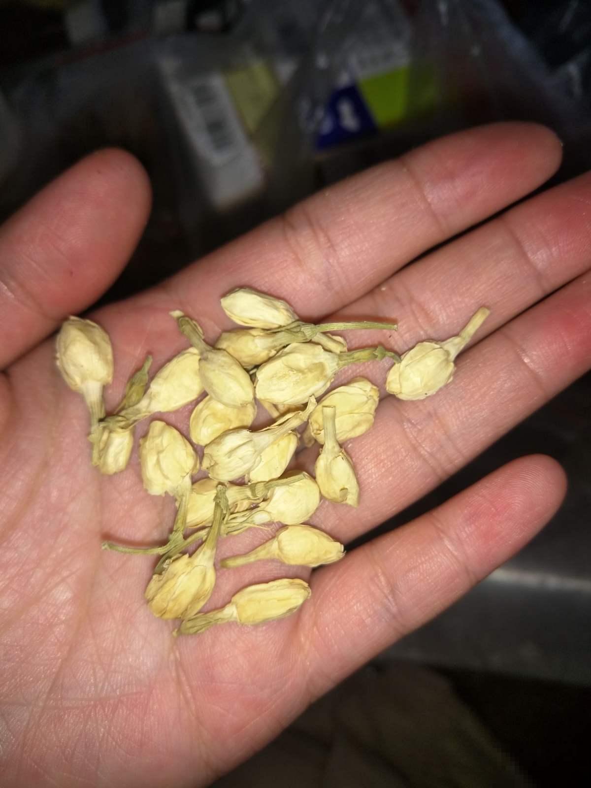 专门做啤酒的花，原来在家也能种，花穗饱满美丽！