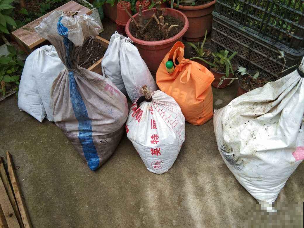 土里掺点它，碱性变酸性，花呼呼长疯了