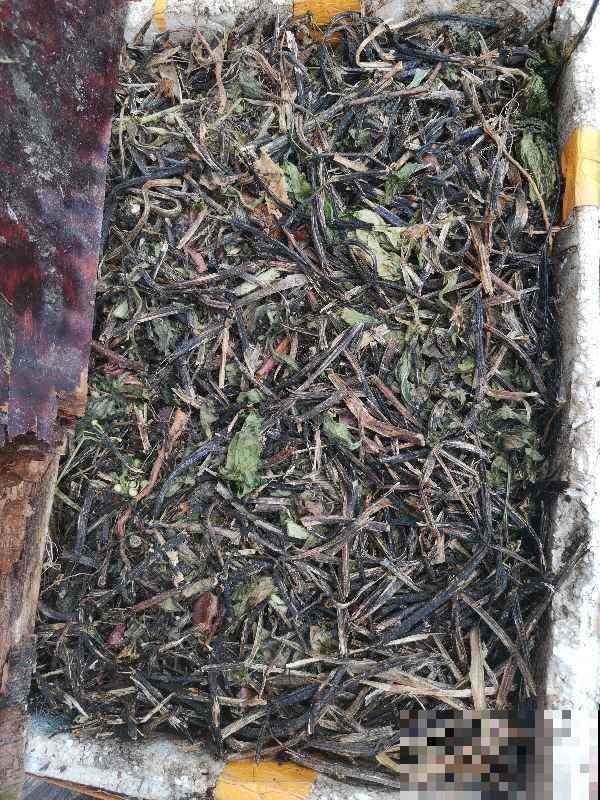 土里掺点它，碱性变酸性，花呼呼长疯了