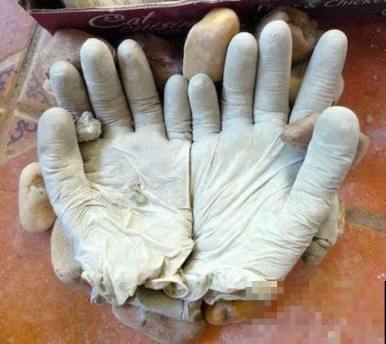 养花从不买花盆，都是这些东西做的！