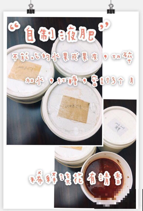 自制氮磷钾肥，花长得枝繁叶茂，买肥钱都省了！