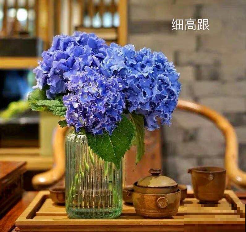 25种最漂亮的绣球，光不好也能开爆盆，春天必须来一盆！