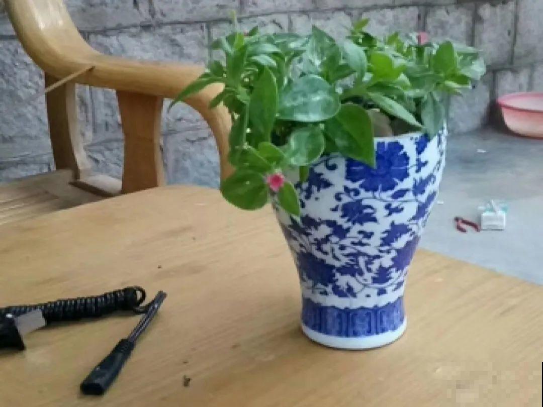 养花从不买花盆，都是这些东西做的！