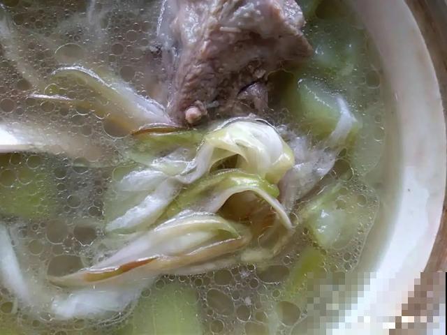 人养花，花也养人，9种花能治病，连医生也爱养！