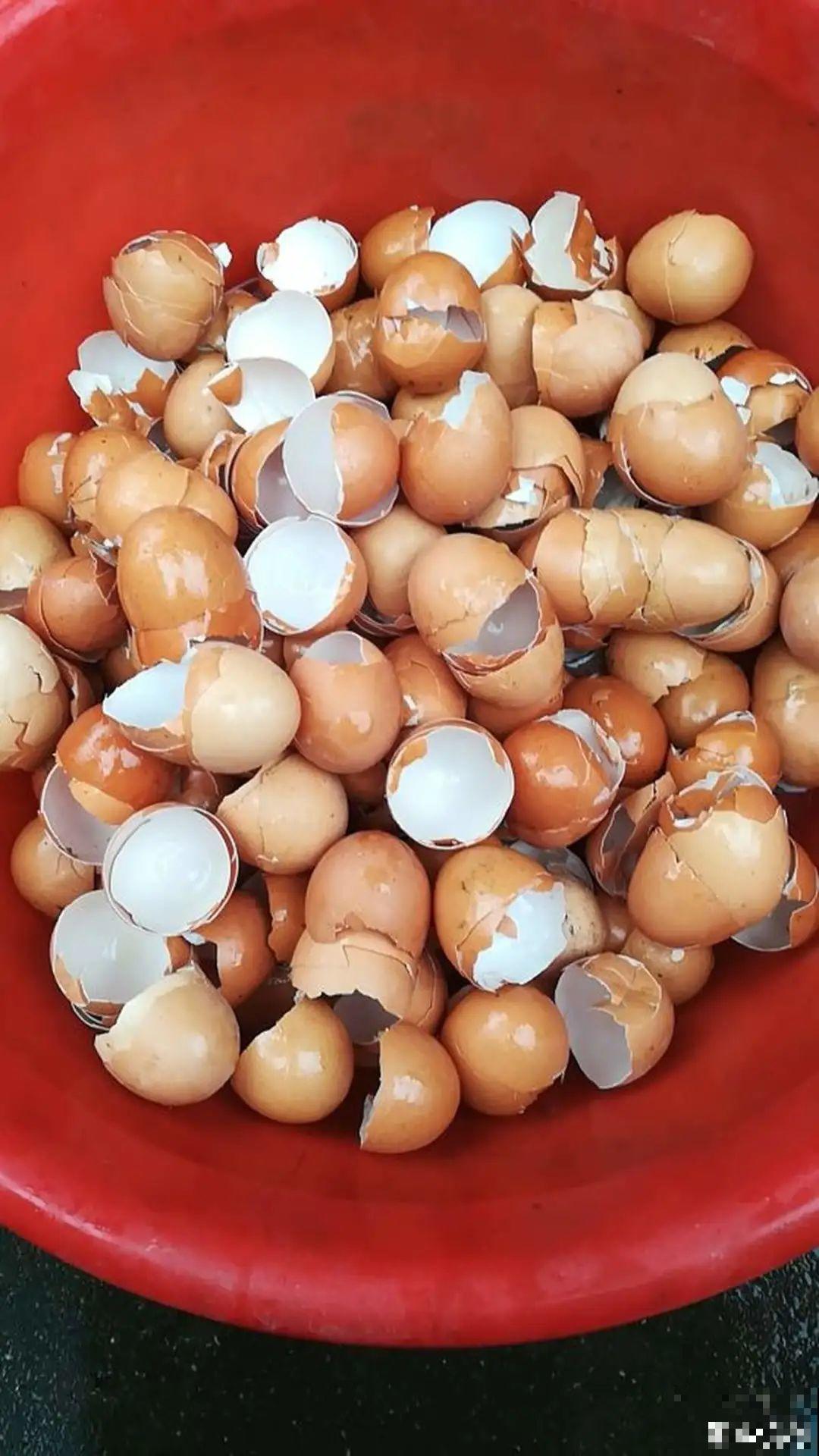 给花喝点它，花芽摁都摁不住，呼呼开花