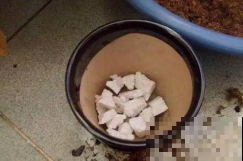花盆里垫上一样小东西，可以预防烂根，咋浇水都没事！
