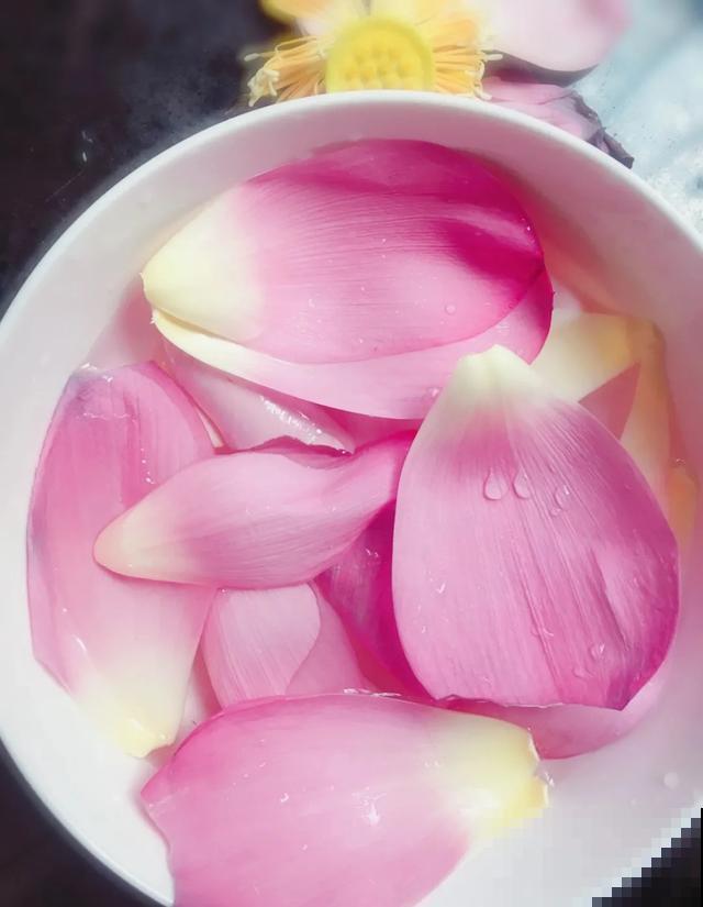 玉兰花真好吃，掐一把炒鸡蛋，竟然满嘴鸡肉味