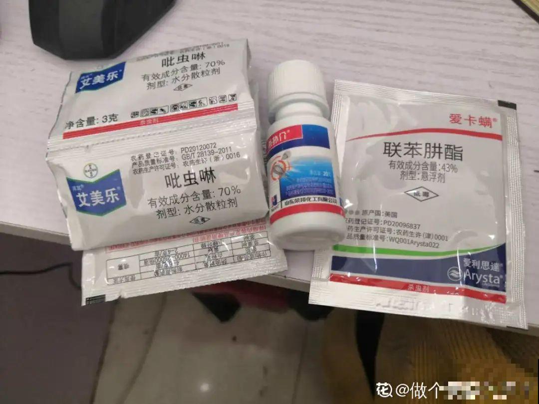 春天各种虫害来袭，花叶都要被吃没，教你新方法来杀虫！