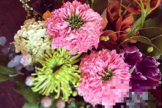 最丑月季花，不服来战，看完眼睛要瞎了！
