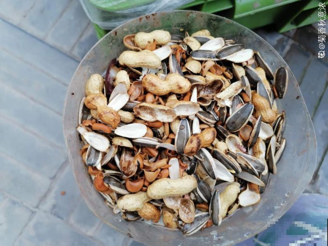 20种自制营养土，肥的流油，不用花钱买！