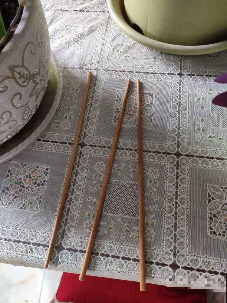 旧筷子、塑料瓶子别丢，稍微用点小心思，都是养花神器