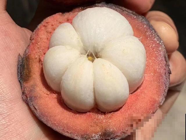 6种植物不按套路生长？你吃的水果，就是这么长出来的！