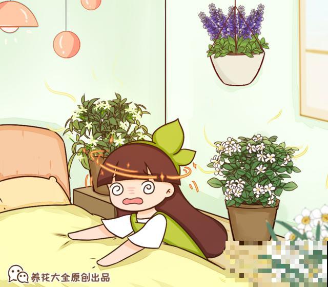 卧室别养这8种花，香得头昏脑胀，对身体有大害处！