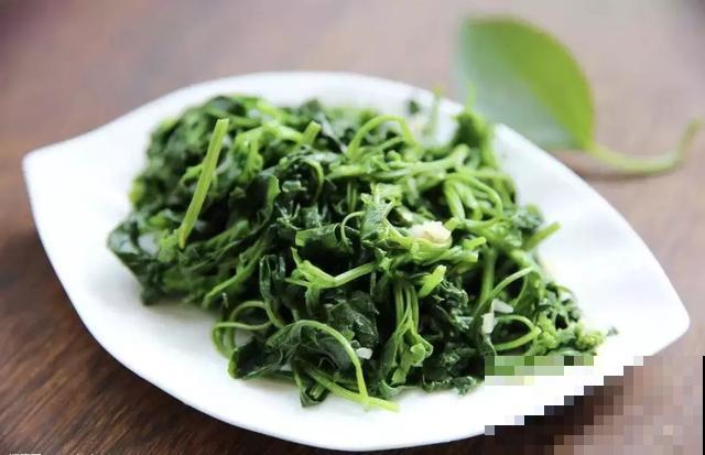 见过两米高的野菜吗？很多人看了不认识，其实掐点嫩芽超鲜香！