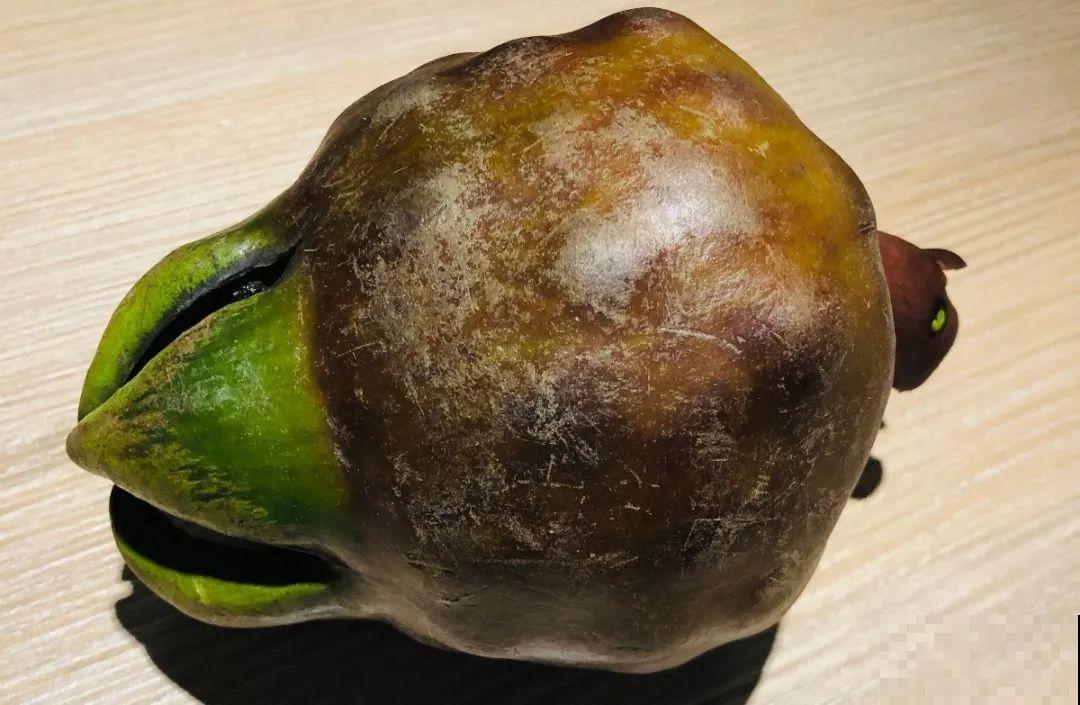 66种野菜辨别图，再不挖点尝尝，下个月就老了！