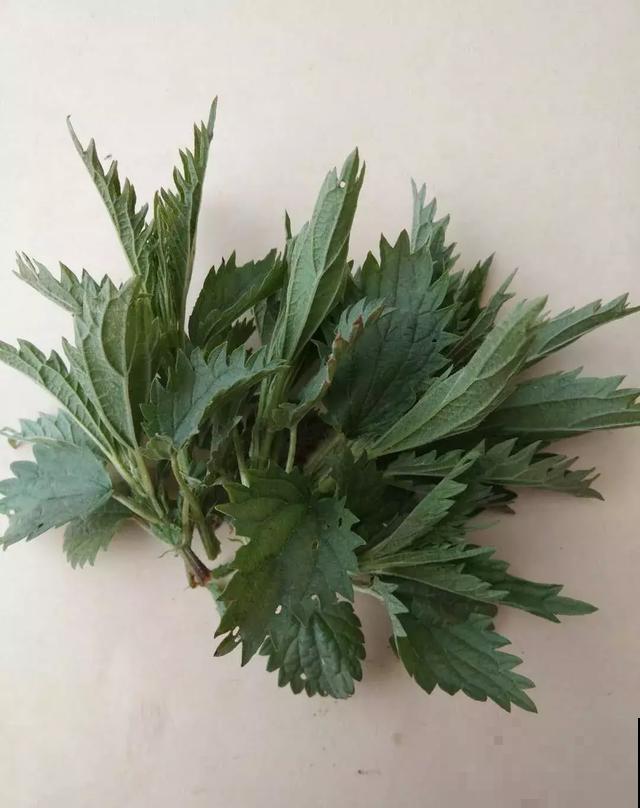 饭桌上不常见的野菜，吃过的人是少数，农村人才认识！