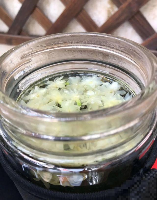 超耐晒的茉莉花,30℃高温照样开,满屋子都是香气! 超耐晒的茉莉花,30℃高温照样开,满屋子都是香气!