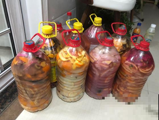 洋葱也能养花?催花效果明显好,蚊虫吓得不敢来! 洋葱也能养花?催花效果明显好,蚊虫吓得不敢来!