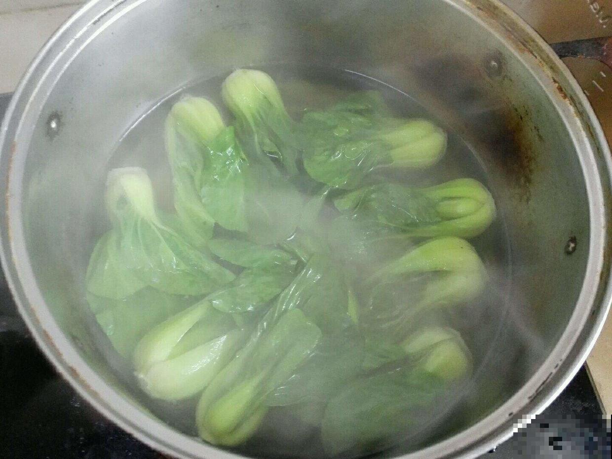 焯菜水你都倒掉？简直是浪费，倒花盆里花草呼呼猛蹿！