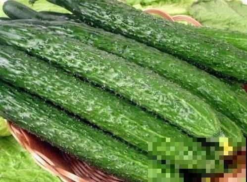 老人常说夏吃瓜，入夏多吃3种瓜，滋养脾胃身体好！