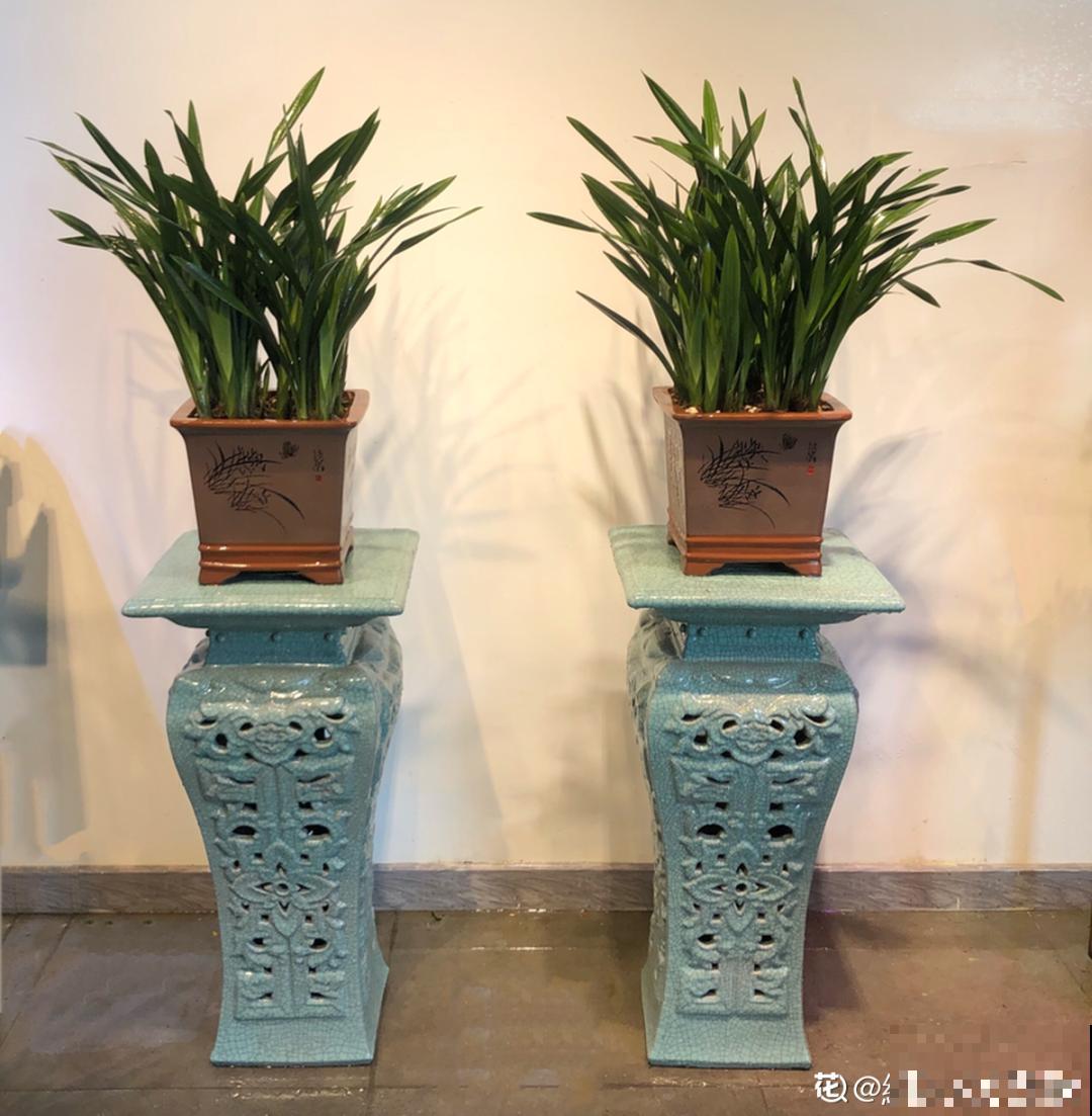 20种花,夏天这么浇水,长得快、开花多! 20种花,夏天这么浇水,长得快、开花多!