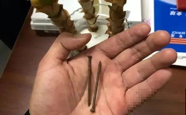 夏天水培植物,一杯水就够了,越养越爆盆 夏天水培植物,一杯水就够了,越养越爆盆