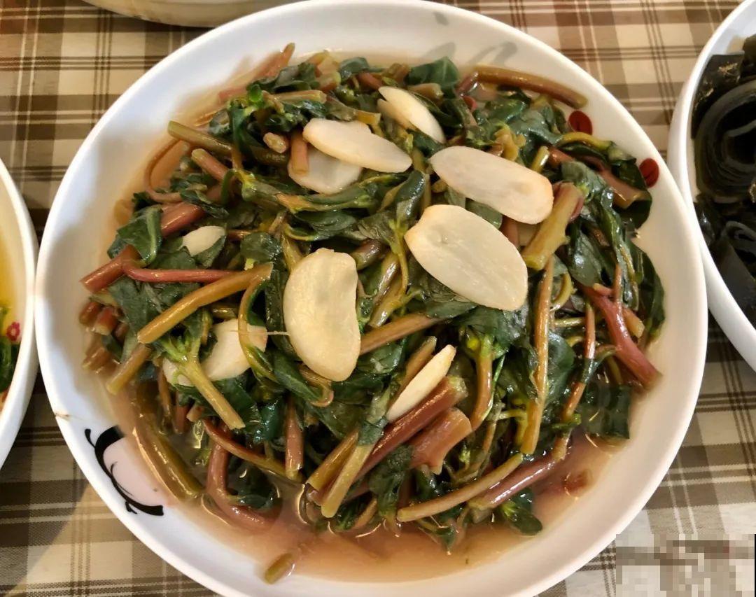 8种花夏天必须养,掐一把炒菜特别香,清热去火不中暑! 8种花夏天必须养,掐一把炒菜特别香,清热去火不中暑!