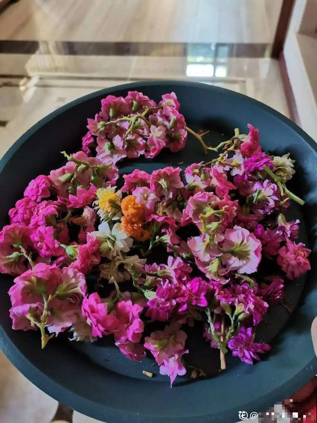 常见8种花，到花期还不开，赶紧剪一刀，花苞嗖嗖冒！