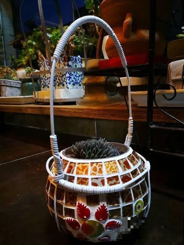 高价花盆扔一地，捡到手软，回家种花美炸了！