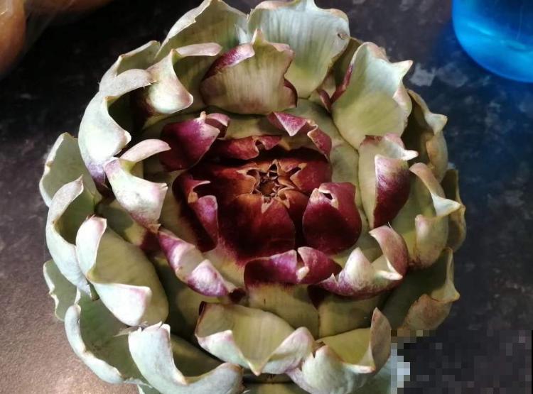 路边一种野菜，味道超级好吃，没想到开花也好看！