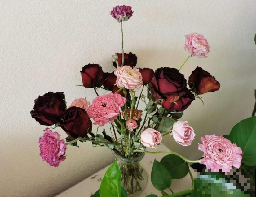 带花泥的花束,买回家这么养,看个3年没问题! 带花泥的花束,买回家这么养,看个3年没问题!