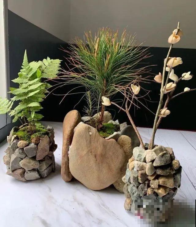 高价花盆扔一地，捡到手软，回家种花美炸了！