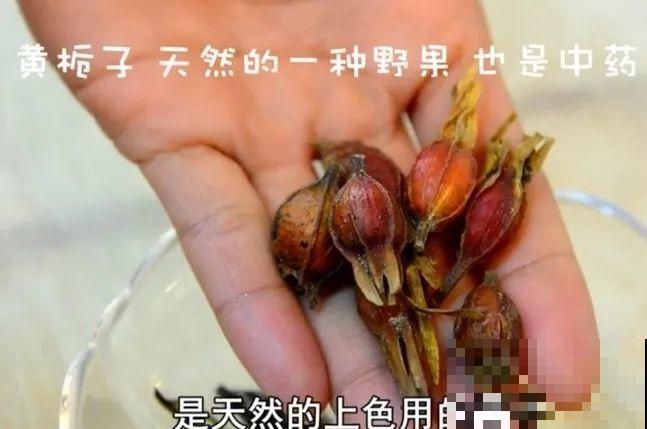 最好吃的5种花,长一茬吃一茬,都快薅秃了! 最好吃的5种花,长一茬吃一茬,都快薅秃了!