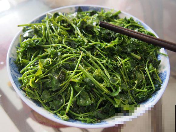 饭桌上不常见的野菜，吃过的人是少数，农村人才认识！