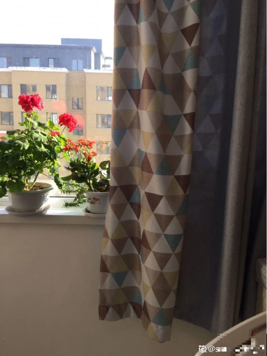 夏天养花,这个地方千万别摆,否则3天死翘翘! 夏天养花,这个地方千万别摆,否则3天死翘翘!