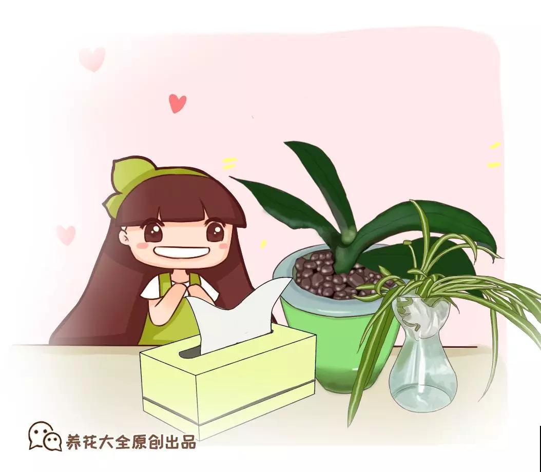 4种小东西扔花盆里，养花再也不烂根，越长越旺！