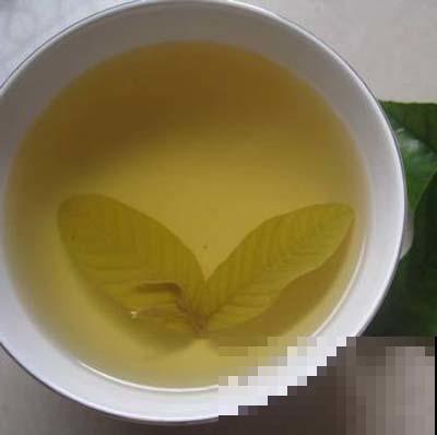 石榴繁茂生长期,打顶嫩叶不要扔,锅里一炒就变养生茶! 石榴繁茂生长期,打顶嫩叶不要扔,锅里一炒就变养生茶!