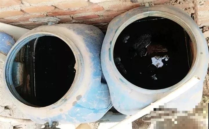 土里撒点粉末,碱性变酸性,花朵蹭蹭开不黄叶 土里撒点粉末,碱性变酸性,花朵蹭蹭开不黄叶