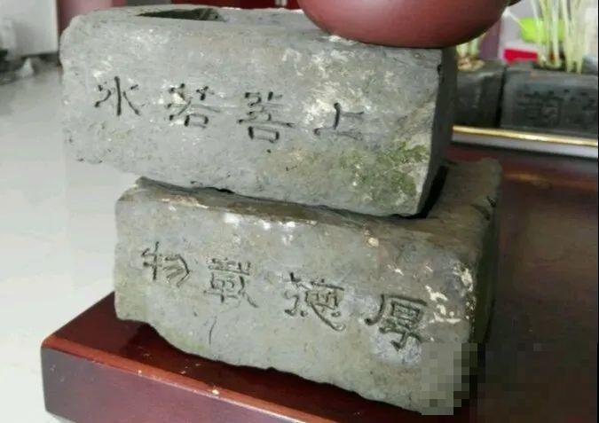 高价花盆扔一地，捡到手软，回家种花美炸了！